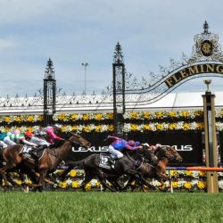 The Flemington Cup Selection